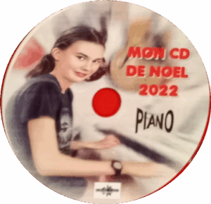 disc13